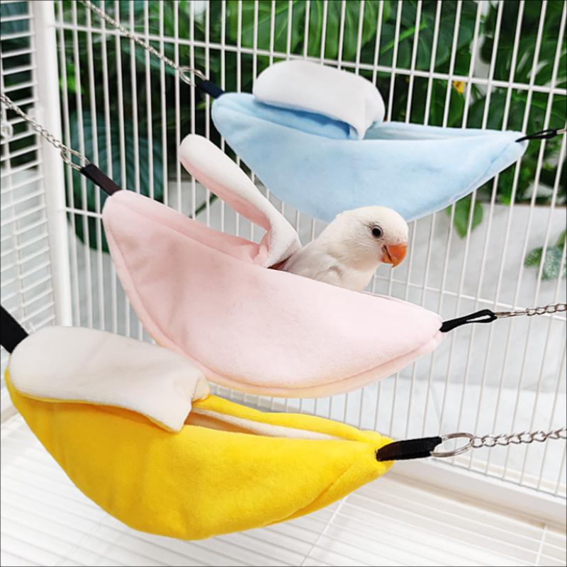 /KQM/Banana Hamster Bird Rat S - Fishing Kayak Sit On Top 리뷰 및 가격